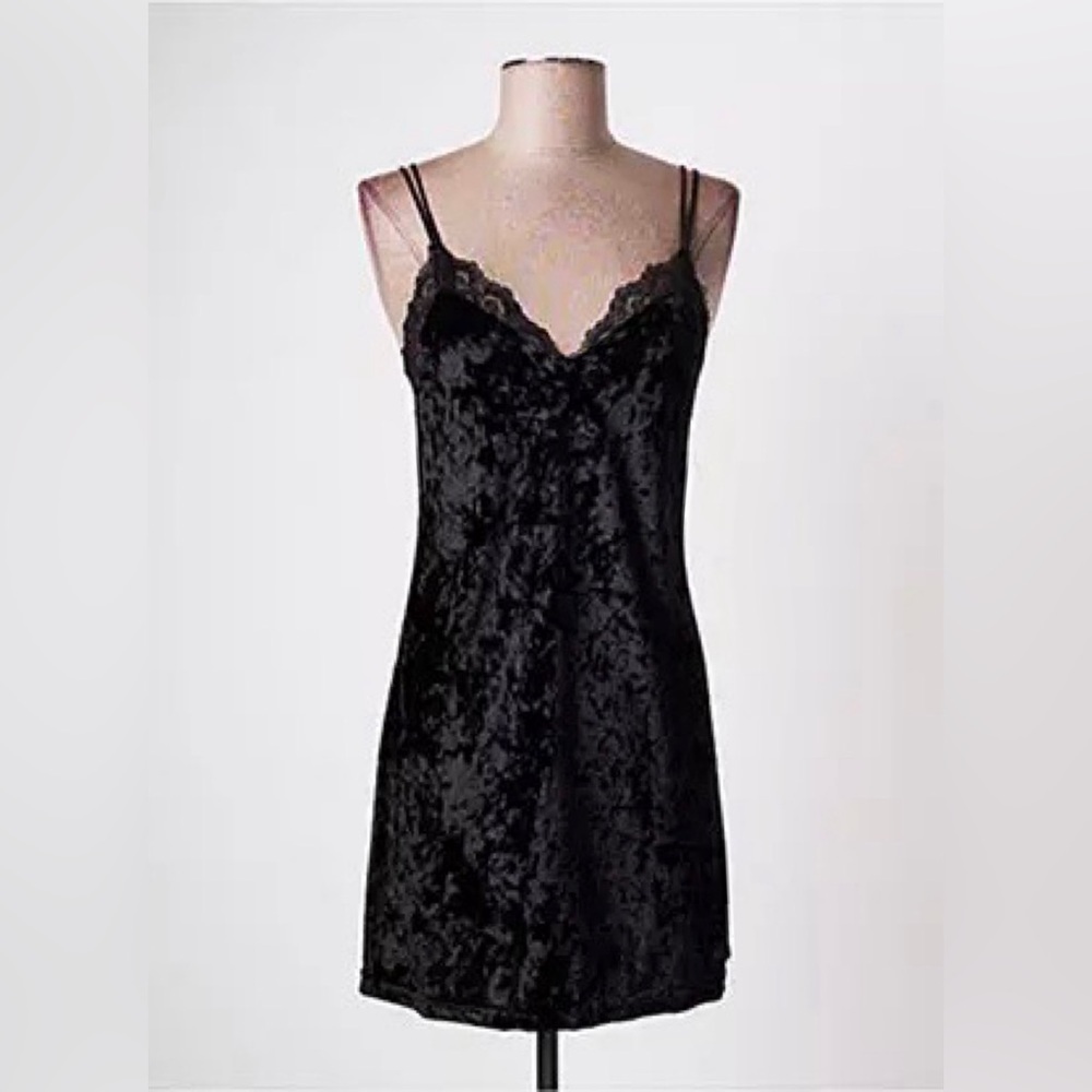 Molly Bracken Crushed Velvet and Lace Minidress